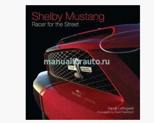 Shelby Mustang racer for the street