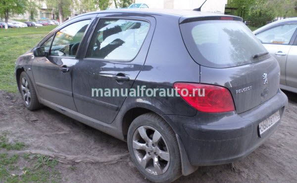   Peugeot 307,   307